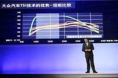 2008款 2.0L 自动 品尊版