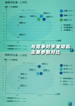 2008款 2.0L 自动 品尊版