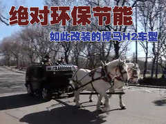 2008款 6.2 自动 5座