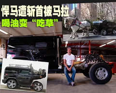 2008款 6.2 自动 5座