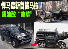 2008款 6.2 自动 5座