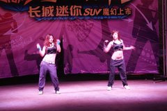 2010款 1.3L 手动 舒适型 四驱