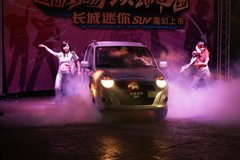 2010款 1.3L 手动 舒适型 四驱