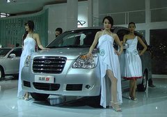 2009款 1.3L 手动 欢心型