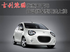 2009款 1.3L 自动 灵动版