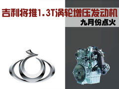 2009款 1.3L 自动 灵动版