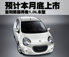 2009款 1.3L 自动 灵动版