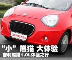 2009款 1.0L 手动 灵动版
