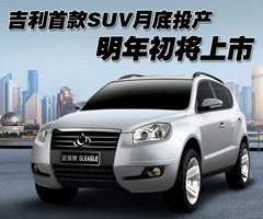 2009款 1.0L 手动 灵动版