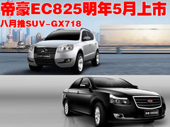 2009款 1.0L 手动 灵动版