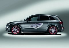 2010款 2.0T FSI 运动款 5座
