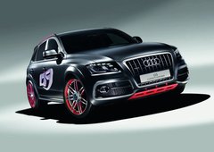 2010款 2.0T FSI 运动款 5座