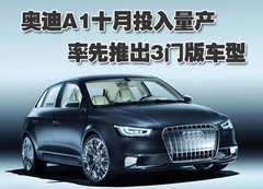 2010款 2.0T FSI 运动款 5座