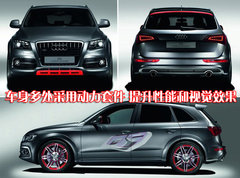 2010款 2.0T FSI 运动款 5座