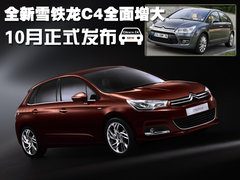 2010款 两厢 2.0L 自动 时尚型