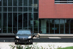 2009款 1.4T 自动 豪华版