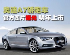 2009款 2.4L 自动豪华型