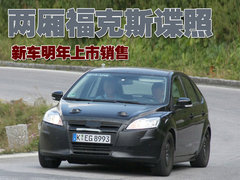2009款 两厢 2.0L 手动 运动型
