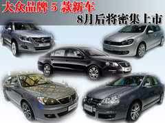 2009款 2.0L 自动 真皮版
