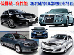 2009款 2.0L 自动 真皮版