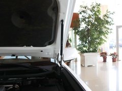2010款 460 4.6 自动 7座