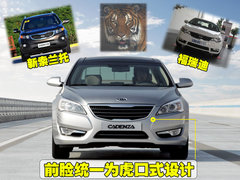 2009款 3.8L 自动 旗舰版