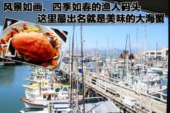 2008款 Edge 3.5 自动 5座 