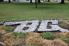 2008款 Edge 3.5 自动 5座 