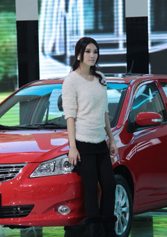 2010款 三厢 1.6L 自动 驭乐版