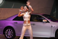 2010款 三厢 1.6L 自动 驭乐版