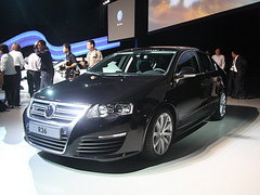 2008款 R36 3.6L 自動(dòng) 旅行版