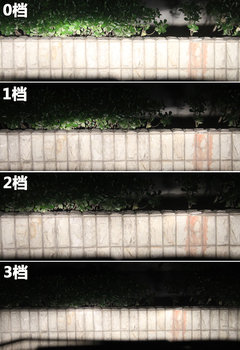 2010款指南者Compass