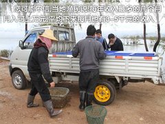 2011款 1.6SL 自动 天地版