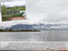2011款 1.6SL 自动 天地版