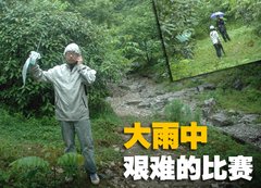 2009款 320i 2.0L 时尚型