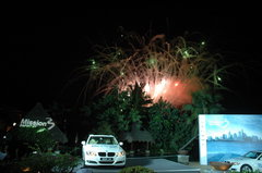 2009款 320i 2.0L 时尚型