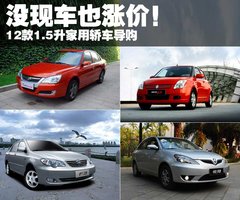 2009款 1.5L 手动 智能白金版标准型GL-i