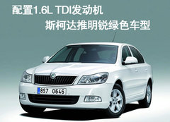 2008款 1.8TSI 自动 逸尊导航版
