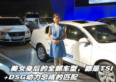 2010款 1.4TSI 标准型
