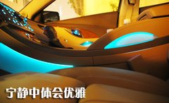 2010款 3.0L 自动 旗舰版