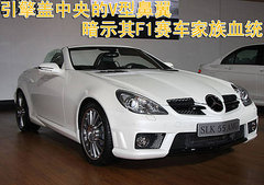 2010款 S300 3.0L 豪华型