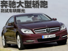 2010款 S300 3.0L 豪华型