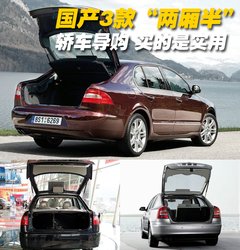 2009款 2.0L 自动 旗舰版