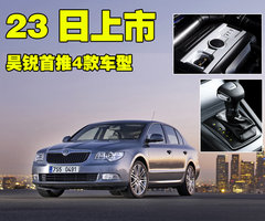 2009款 2.0L 自动 旗舰版