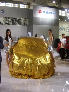 2009款 1.0L 自动 豪华型