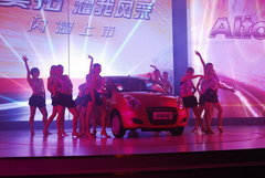 2009款 1.0L 自动 豪华型