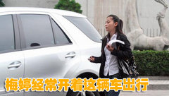 2010款 3.6 TDV8 HSE 柴油版 5座