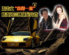 2010款 3.6 TDV8 HSE 柴油版 5座