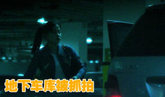 2010款 3.6 TDV8 HSE 柴油版 5座