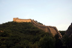 2010款 1.6 自动 舒适型